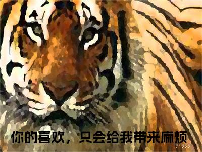 你的喜欢，只会给我带来麻烦（盛吟微厉书昱）全文免费阅读无弹窗大结局_（盛吟微厉书昱无弹窗）全文完整版免费阅读