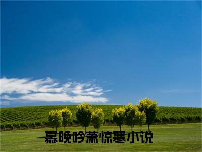 慕晚吟萧惊寒(慕晚吟萧惊寒)全文免费阅读无弹窗大结局_慕晚吟萧惊寒最新章节列表_笔趣阁（慕晚吟萧惊寒）