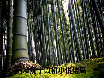 厉凌炀宁以初（厉凌炀宁以初）微小说-厉凌炀宁以初最新章节免费阅读