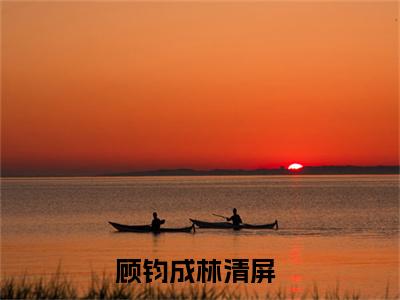 顾钧成林清屏是什么小说 顾钧成林清屏正版小说免费阅读_笔趣阁