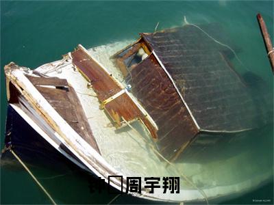 钟玥周宇翔全文免费阅读无弹窗大结局_ （重生：青梅，去追寻你想要的幸福吧完结）钟玥周宇翔小说最新章节列表