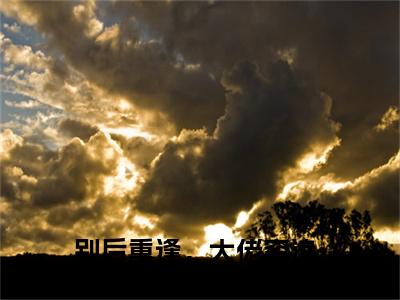 别后重逢，大佬穷追不舍小说全文无删减-秦如烟陆景琛别后重逢，大佬穷追不舍小说大结局免费阅读