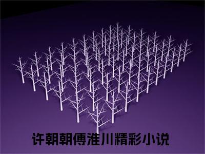 许朝朝傅淮川小说（许朝朝傅淮川）全文免费阅读大结局_（许朝朝傅淮川）许朝朝傅淮川小说最新章节列表_笔趣阁（许朝朝傅淮川）