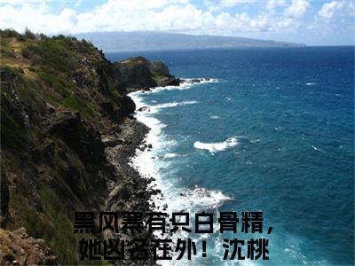 黑风寨有只白骨精，她凶名在外！沈桃小说(黑风寨有只白骨精，她凶名在外！沈桃)全文免费阅读无弹窗_(黑风寨有只白骨精，她凶名在外！沈桃小说全文免费阅读)黑风寨有只白骨精，她凶名在外！沈桃最新章节列表笔趣阁（黑风寨有只白骨精，她凶名在外！沈桃）