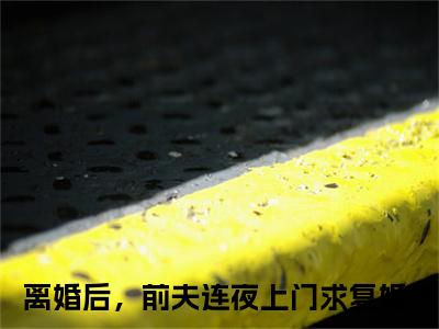 南星沈行之小说离婚后，前夫连夜上门求复婚（已完结小说全集完整版大结局）南星沈行之小说全文阅读笔趣阁
