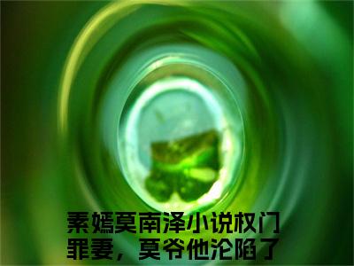 权门罪妻，莫爷他沦陷了（素嫣莫南泽）全文小说免费阅读-权门罪妻，莫爷他沦陷了最新章节列表_笔趣阁