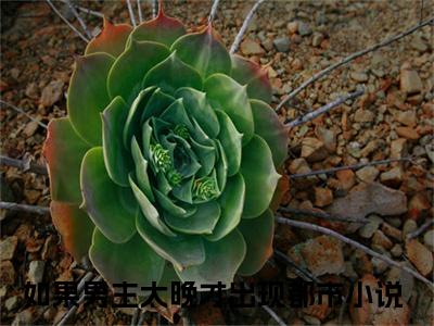 如果男主太晚才出现（梁爽苏承骏）全文免费阅读无弹窗大结局_如果男主太晚才出现全文免费阅读（梁爽苏承骏）最新章节列表