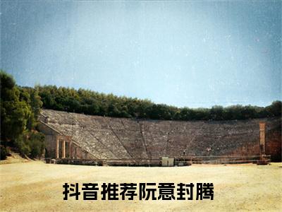 主角为阮意封腾的小说（阮意封腾）无弹窗大结局-阮意封腾最新小说全文阅读最新章节列表_笔趣阁
