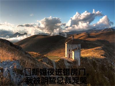 新婚夜进错房门，我被阴鸷总裁宠哭小说（唐黎月郁墨渊）完整版大结局-唐黎月郁墨渊小说免费阅读