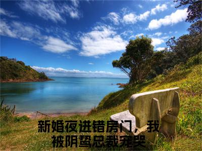 唐黎月郁墨渊（新婚夜进错房门，我被阴鸷总裁宠哭）全文免费阅读无弹窗大结局_（新婚夜进错房门，我被阴鸷总裁宠哭无弹窗）_笔趣阁