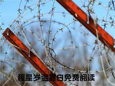 程星岁温庭白小说免费（她心中绷着的那根弦，断了）全文免费阅读无弹窗-程星岁温庭白小说全文免费阅读-笔趣阁