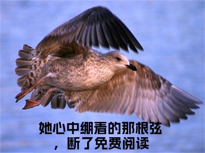 温庭白程星岁（她心中绷着的那根弦，断了）全网首发小说-小说她心中绷着的那根弦，断了（温庭白程星岁）完整版全文在线赏析