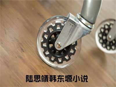 小说陆思靖韩东塬免费阅读-（陆思靖韩东塬）全文无弹窗阅读
