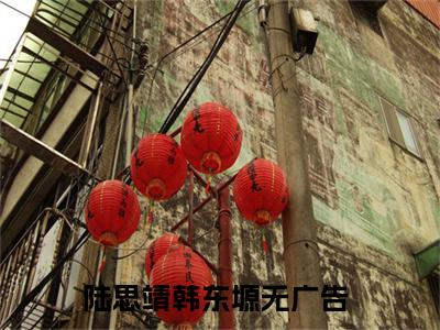陆思靖韩东塬小说（陆思靖韩东塬)全文免费阅读无弹窗大结局_陆思靖韩东塬完整版最新阅读_笔趣阁（陆思靖韩东塬）