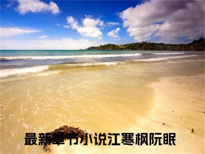 小说（江寒枫阮眠）极致诱宠！竹马他哥超腹黑全文阅读-江寒枫阮眠（极致诱宠！竹马他哥超腹黑）老书虫书荒推荐热点小说