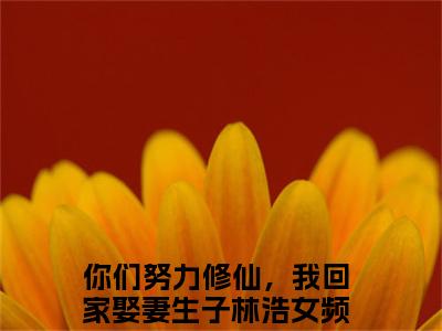 你们努力修仙，我回家娶妻生子林浩小说（你们努力修仙，我回家娶妻生子林浩）全文免费阅读结局-你们努力修仙，我回家娶妻生子林浩强推全文阅读无弹窗