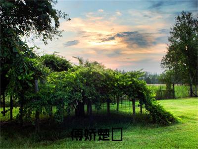 傅娇楚玧（傅娇楚玧）全文免费阅读无弹窗大结局_傅娇楚玧在线阅读（傅娇楚玧）