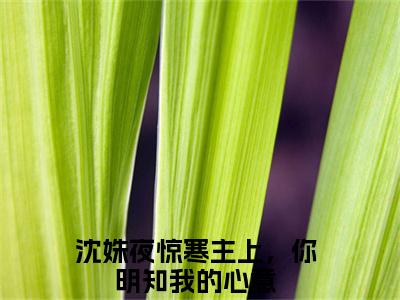 沈姝夜惊寒(主上，你明知我的心意)全文免费阅读无弹窗大结局_(主上，你明知我的心意在线阅读)沈姝夜惊寒最新章节列表笔趣阁（主上，你明知我的心意）