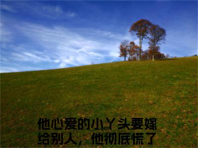 宋昭希苏奕珩小说（他心爱的小丫头要嫁给别人，他彻底慌了）完整版小说阅读_宋昭希苏奕珩全本列表免费笔趣阁