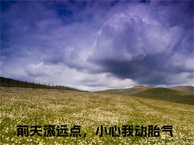 前夫滚远点，小心我动胎气（苏堇顾知珩）小说全文免费阅读-苏堇顾知珩小说最新章节完整版