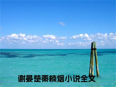谢晏楚秦楠烟小说在线阅读（谢晏楚秦楠烟）全文免费阅读无弹窗大结局_谢晏楚秦楠烟小说免费最新章节列表_笔趣阁（谢晏楚秦楠烟）