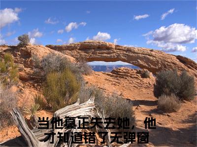 当他真正失去她，他才知道错了小说（衡君言景汐）精彩免费小说_当他真正失去她，他才知道错了全文免费阅读无弹窗大结局笔趣阁