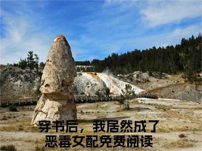 穿书后，我居然成了恶毒女配（沈若惜秦斯爵）精彩满分小说-强烈推荐沈若惜秦斯爵（穿书后，我居然成了恶毒女配）小说精彩全文阅读