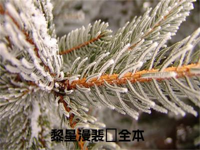 黎星漫裴暻完本小说全集阅读-（黎星漫裴暻）主角的小说是什么名字