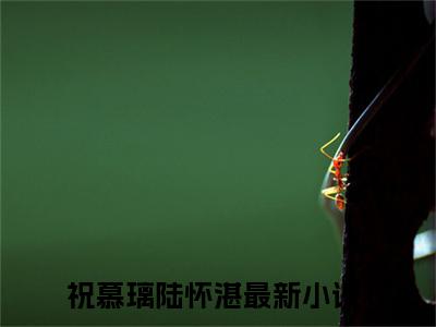 祝慕璃陆怀湛全文免费阅读_（祝慕璃陆怀湛免费阅读无弹窗）祝慕璃陆怀湛最新章节列表笔趣阁（祝慕璃陆怀湛）