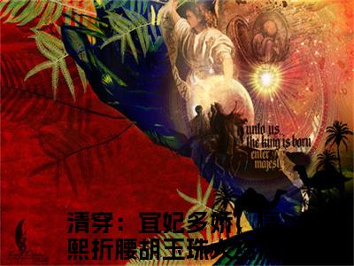 清穿：宜妃多娇，康熙折腰胡玉珠小说（已完结小说全集完整版大结局）小说全文阅读笔趣阁