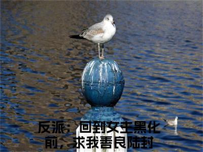 反派：回到女主黑化前，求我善良陆封的小说（反派：回到女主黑化前，求我善良陆封）全文免费阅读