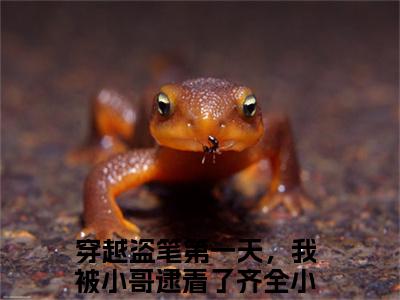 穿越盗笔第一天，我被小哥逮着了齐全（穿越盗笔第一天，我被小哥逮着了齐全）全文在线阅读无弹窗大结局_(穿越盗笔第一天，我被小哥逮着了齐全免费阅读全文大结局)最新章节列表_笔趣阁（穿越盗笔第一天，我被小哥逮着了齐全）