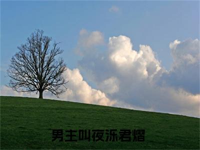 夜泺君熠免费夜泺君熠读无弹窗最新章节列表_笔趣阁（夜泺君熠）