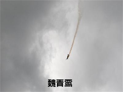 魏青鸾(穿越之农女医妃)全文免费阅读无弹窗大结局_(魏青鸾全文阅读)穿越之农女医妃无弹窗最新章节列表