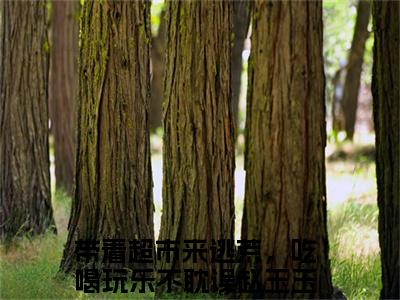 带着超市来逃荒，吃喝玩乐不耽误（赵玉玉）小说在线阅读_带着超市来逃荒，吃喝玩乐不耽误全本免费小说阅读（赵玉玉）