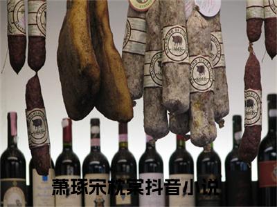 萧琢宋枕棠小说全文免费阅读无弹窗-（萧琢宋枕棠阅读无弹窗）穿越小说免费阅读_笔趣阁