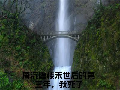 周沉虞樱（末世后的第三年，我死了）全文免费阅读无弹窗大结局_末世后的第三年，我死了全文免费阅读_笔趣阁