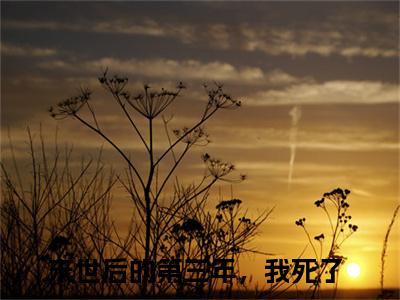 周沉虞樱免费小说-末世后的第三年，我死了小说完整版阅读