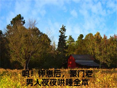 主角叫呜！怀崽后，豪门老男人夜夜哄睡的小说-（凌清阮司湛寒）呜！怀崽后，豪门老男人夜夜哄睡全文无弹窗完整版阅读