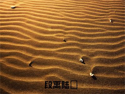 段离陆玦在线阅读（段离陆玦）全文无弹窗大结局_段离陆玦全文在线阅读无弹窗