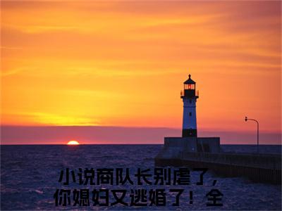 商队长别虐了，你媳妇又逃婚了！小说全文免费阅读-秦悦雅商励在线阅读的小说完整版