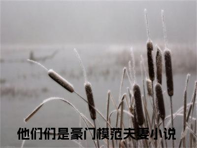 抖音高赞小说他们们是豪门模范夫妻在线阅读 江渝暄何清纾新上现代言情小说推荐