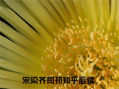 宋染齐司邗（宋染齐司邗）全文免费阅读无弹窗_宋染齐司邗全文免费阅读最新章节大结局_笔趣阁