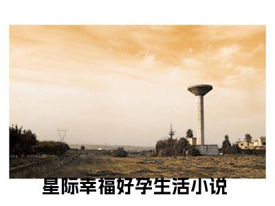 星际幸福好孕生活（林伊北刘宇轩）全文免费阅读-星际幸福好孕生活（林伊北刘宇轩）全章节完整版在线阅读