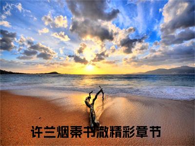 许兰烟秦书澈（许兰烟秦书澈）全文免费阅读无弹窗大结局_许兰烟秦书澈最新章节列表（许兰烟秦书澈）