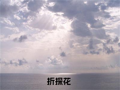 沈珏白玉安（折探花）正版小说最新章节在线阅读_（折探花全文免费阅读无弹窗）