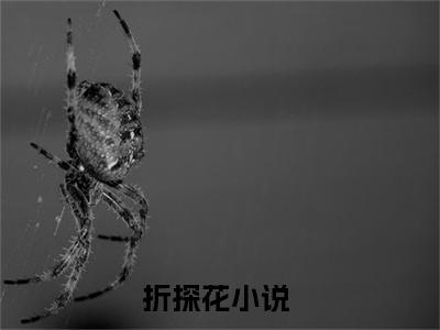沈珏白玉安「精彩小说」无弹窗阅读 折探花大结局阅读