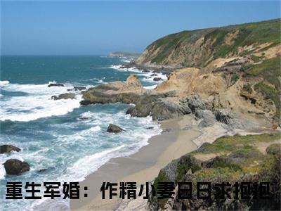 顾睿渊温瓷全文免费阅读大结局_顾睿渊温瓷（重生军婚：作精小妻日日求抱抱）最新章节列表