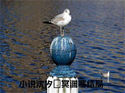 沈汐玥冥渊寒免费小说-沈汐玥冥渊寒已更新最新章节
