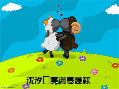 沈汐玥冥渊寒精彩章节试读-沈汐玥冥渊寒虐心小说免费阅读